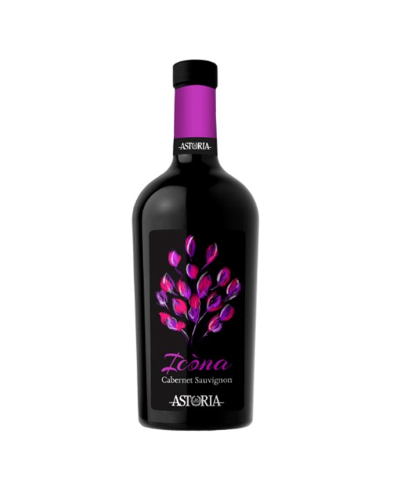Cabernet Sauvignon Icona Red Wine - Italy 75cl