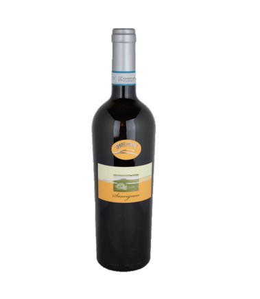 Sauvignon Blanc Venezia DOC White Wine - Italy 75cl
