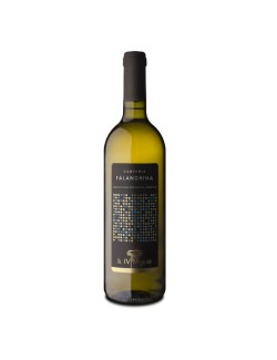 Falanghina IGT White Wine - Italy 75cl